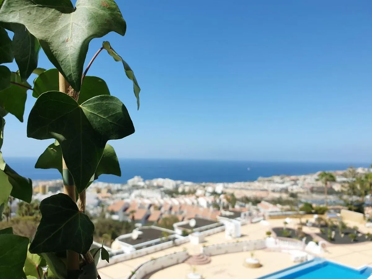 Apartment Luxus Ferienwohnung Meerblick Costa Adeje  Spain